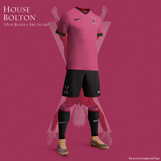Illustration for article titled Imagine a Seven Kingdoms World Cup with Game Of Thrones soccer uniforms